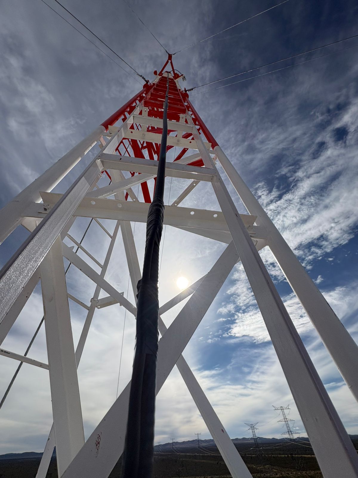 Proyecto 7 (reverso)